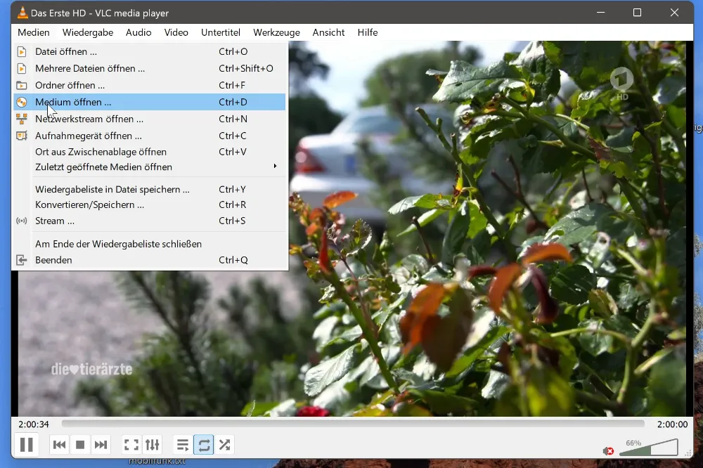 Beispiel M3U-Player (VLC)